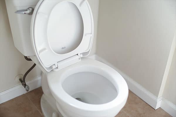 Toilet with the seat up
