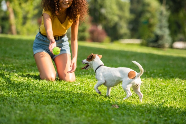 Woman plays with her dog by throwing a tennis ball