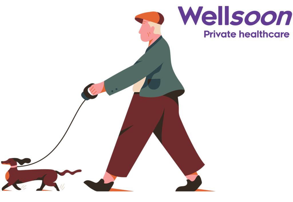 Wellsoon logo with illustration of dog walker