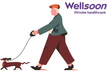 Wellsoon logo with illustration of dog walker